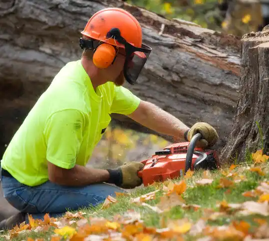 tree services Timberlane